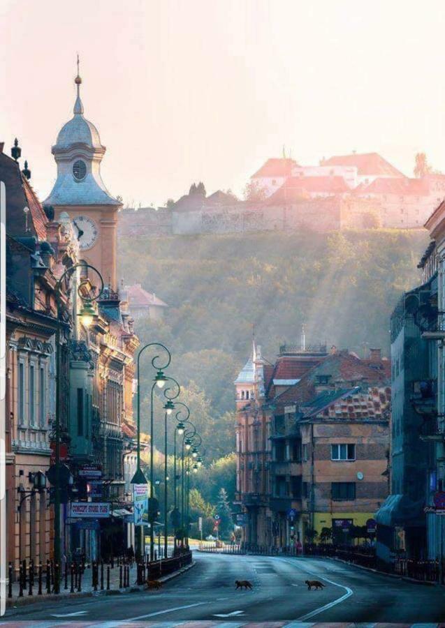 Strada Republicii Nr 26 Apartment Brasov Ngoại thất bức ảnh